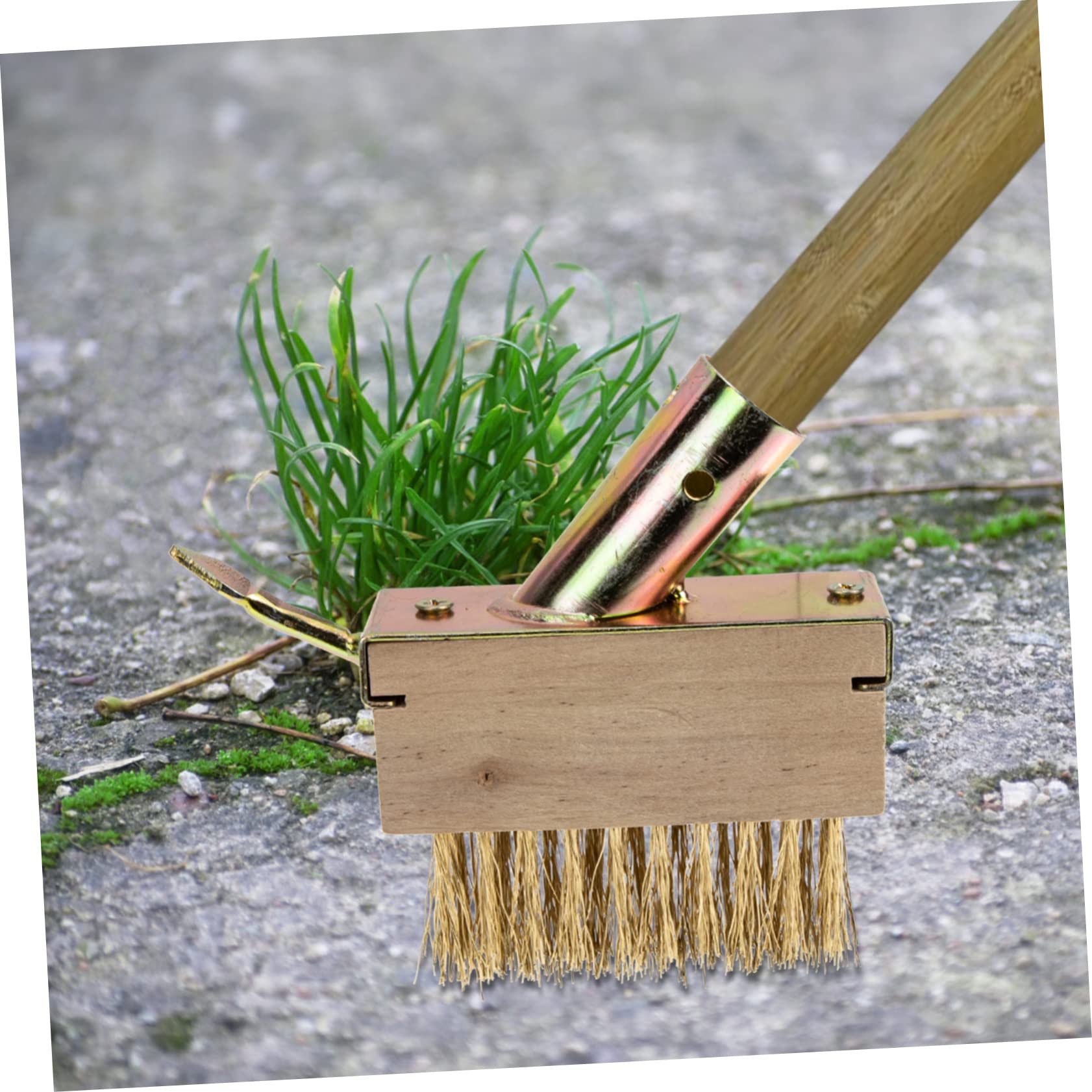 Toyvian 5 Piezas cepillo de deshierbe Eliminación quitando césped desarraigo cepillo de hierba gardening herramienta de grietas cepillo para juntas de pavimento acero Khaki