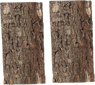 NOLITOY 2 Peças De Paisagismo De Tanque De Peixes De Estimação Fundo De Tanque De Dragão Barbudo Terrário Cortiça Decorações De Terrário Natural Fundo De Terrário Répteis Fundo De Répteis