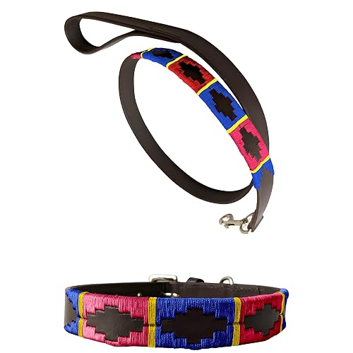 Carlos Diaz Collar de Perro Premium Bordado y Encerado Estilo Polo de Cuero Genuino + Correa Que Combina M