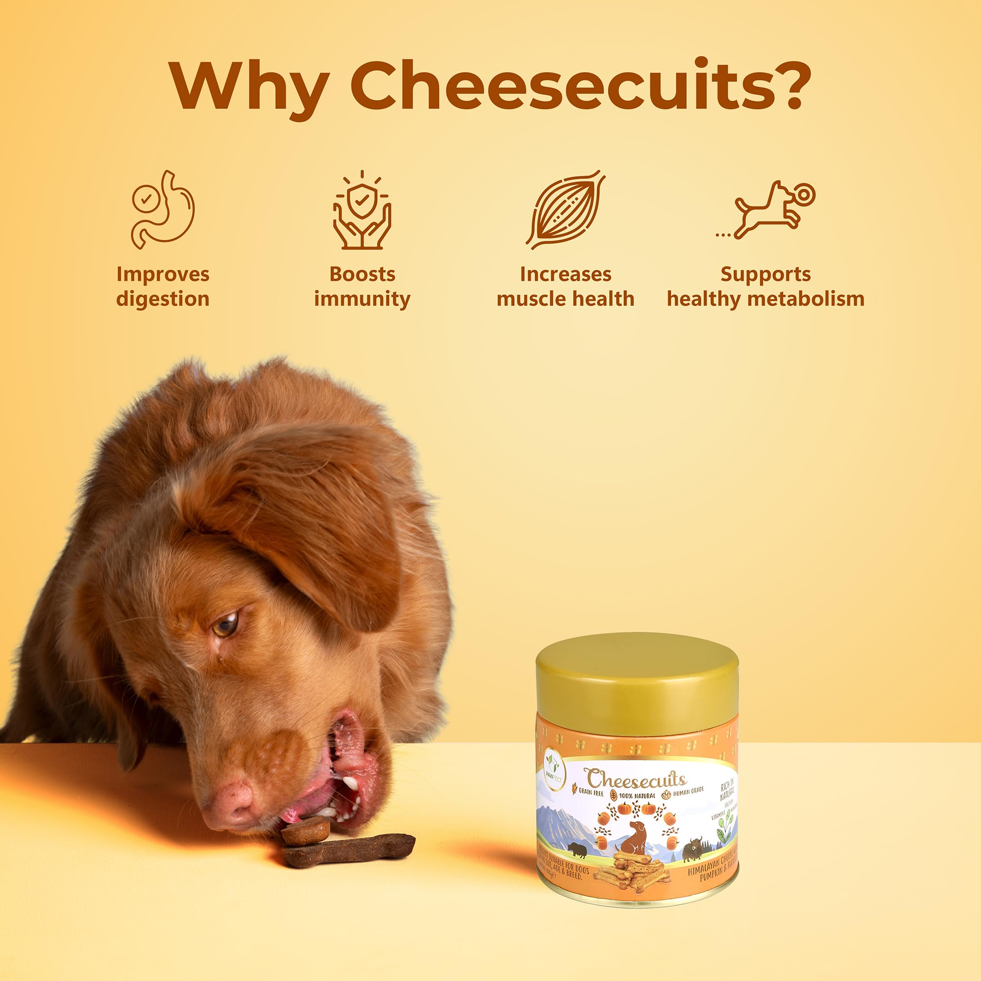 Pawfect Cheesecuits, Cheese Biscuits with Pumpkin, Flaxseeds & Eggs for Dogs- 100% Natural, Grain-free, Hypoallergenic - Image 4