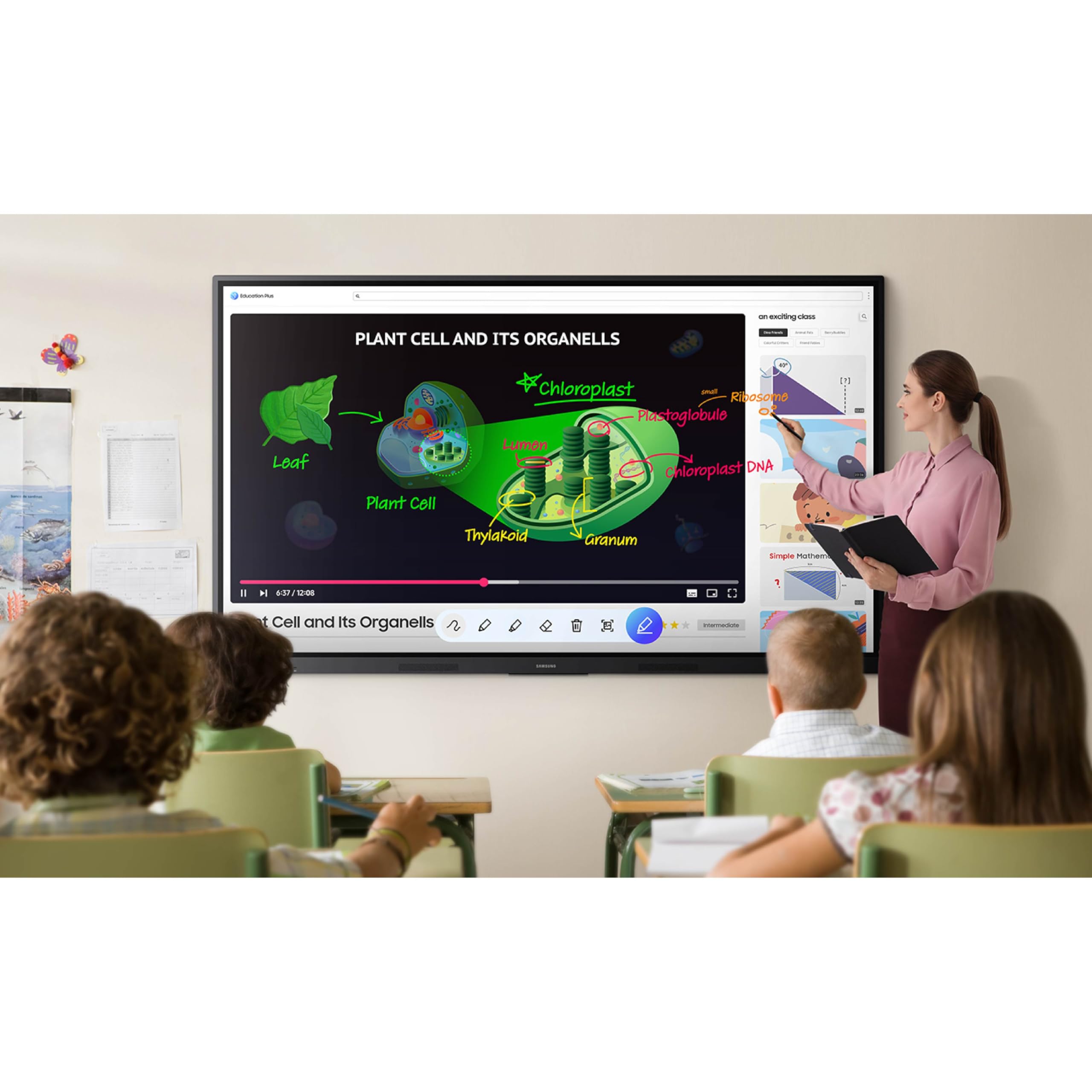 Samsung 65" Interactive Display Touch Screen Whiteboard WAF Series, Compatible with Android™ Devices, EDLA Certified, OPS Slot, Smart Wireless Sharing, LH65WAFWLGCXZA