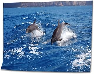 VETEB Paint by Numbers Kit for Adults Beginner Two Jumping Bottle Nose Dolphins DIY Painting on Canvas by Numbers Acrylic Oil Painting for Home Decor Gifts 16"x20"