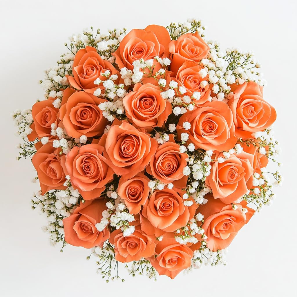 Amazon.com : GlobalRose Fresh 2 Dozen Orange Roses & Fillers