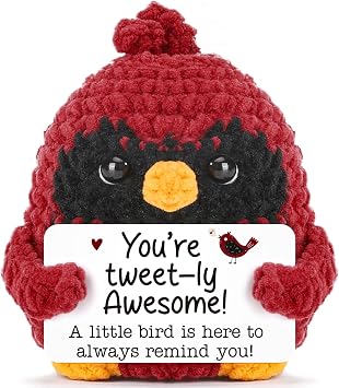 Red Bird Back to School Gift for Students Boys Girls Women Men Birthday