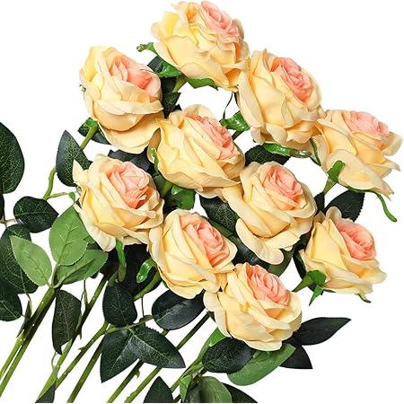 Veryhome 10 Stücke Künstliche Rosen Silk Blumen Gefälschte Flowers Braut Hochzeit Bouquet Für Hausgarten Geburtstag Party Home Wedding Dekor (Champagner - Blühende Rosen)