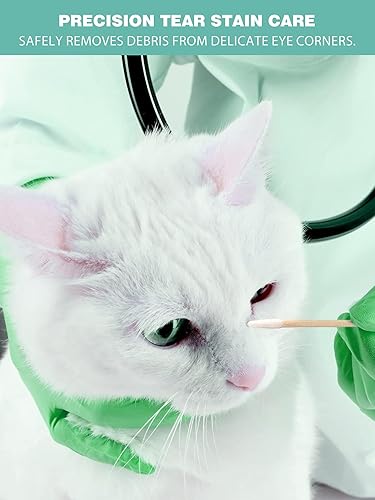 Miniatura 3 de Pointed Q Tips para el cuidado del gato y la limpieza de heridas 500 piezas, hisopos de algodón de madera biodegradables de 2.9 pulgadas para bebé