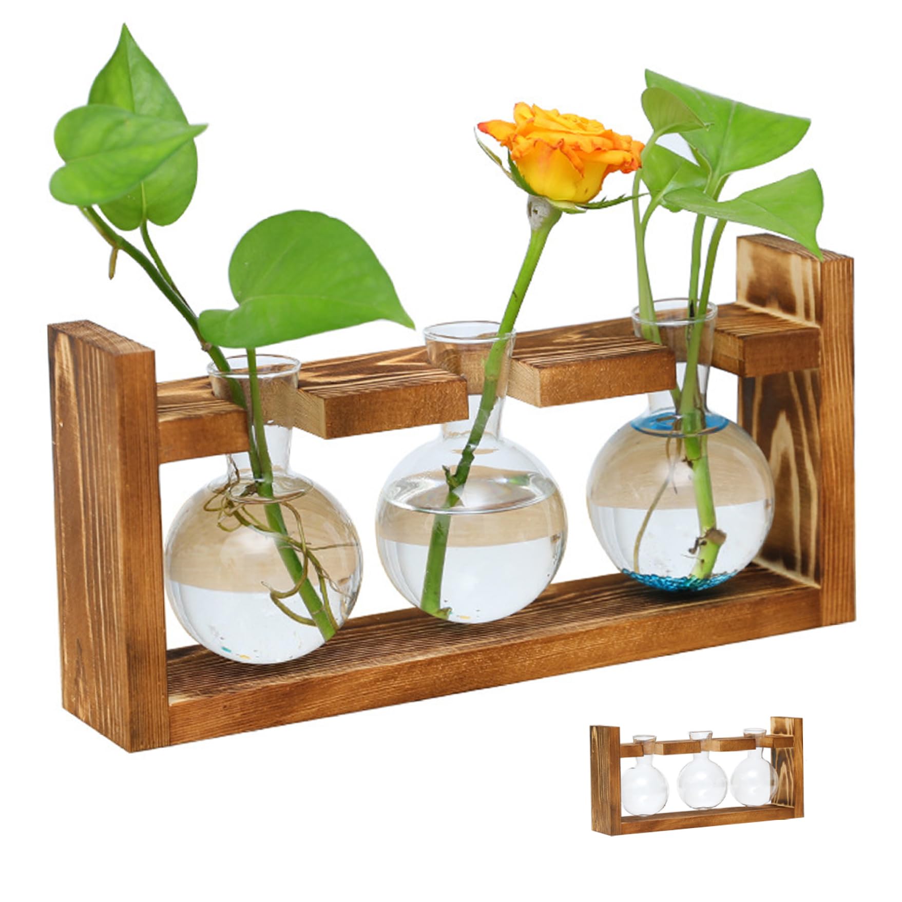 Terrario De Plantas Estaciones De Propagación De Plantas Terrario De Plantas Jardinera De Vidrio con Soporte De Madera para Plantas Hidropónicas Oficina Decoración del Hogar