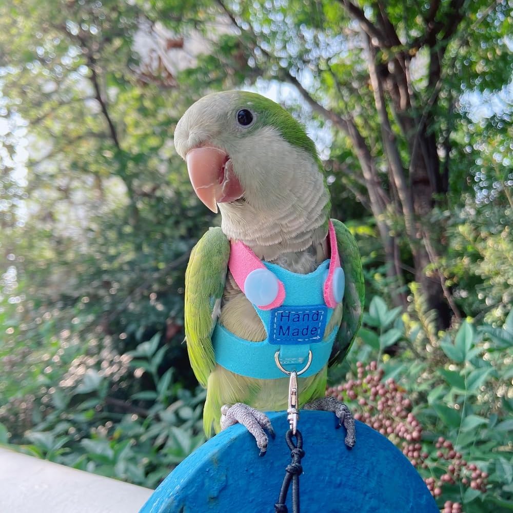 Bird Flight Harness Vest, Parrot Flight Suit with Leash for Parakeets, Bird Flying Clothes with Rope and Handle for Outdoor Activities Training, Anti Bite (with Rope, 5XL)