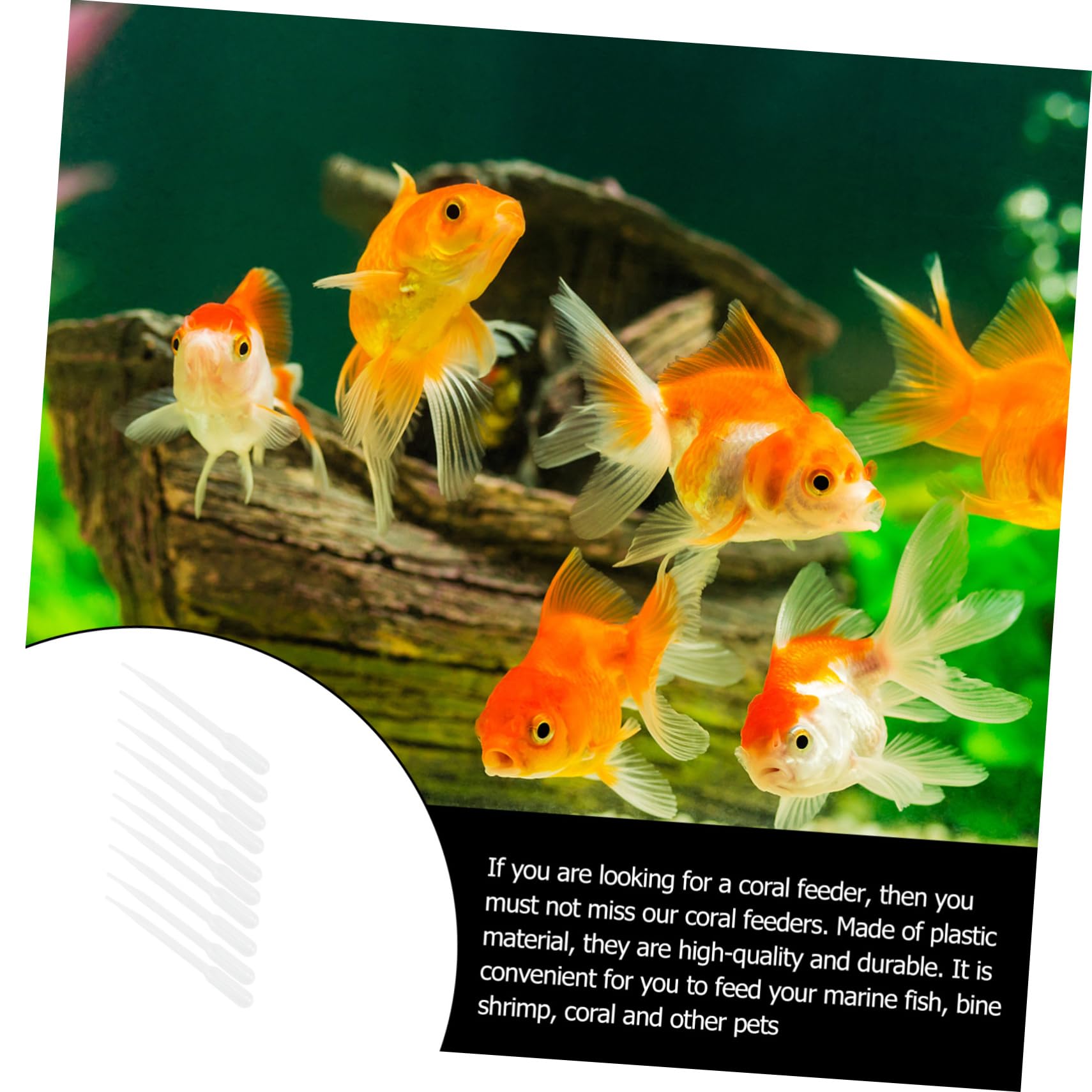 BESPORTBLE Medicine for Aquarium Shrimp Marine Fish Feeder Long Plastic Pet Feeder