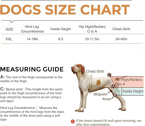 Miniatura 5 de Soporte de cadera para perro para displasia de cadera, dolor de cadera, soporte de cadera para perro para pátela luxante, soporte de cadera para