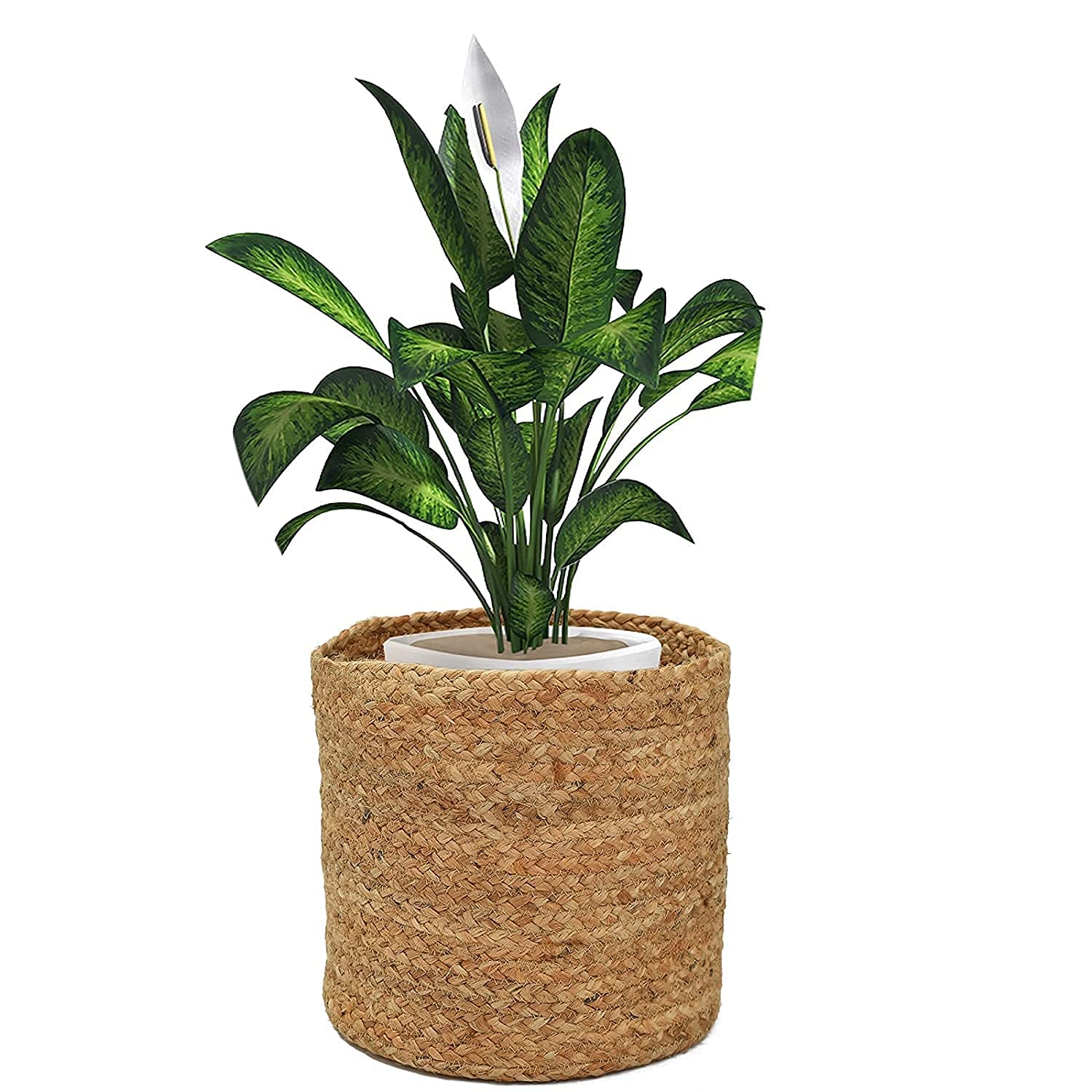 IKOM 6 Inch Pot Perfect for Indoor Planter Pots- This Planter are Indoor Pots for Plants - 6 INCH Planter Used in Multiple such as Home Decor,Indoor,Garden,Bathroom Living Room Etc (6 inch) Plain (B09HTDFSPF) Amazon Price History, Amazon Price Tracker