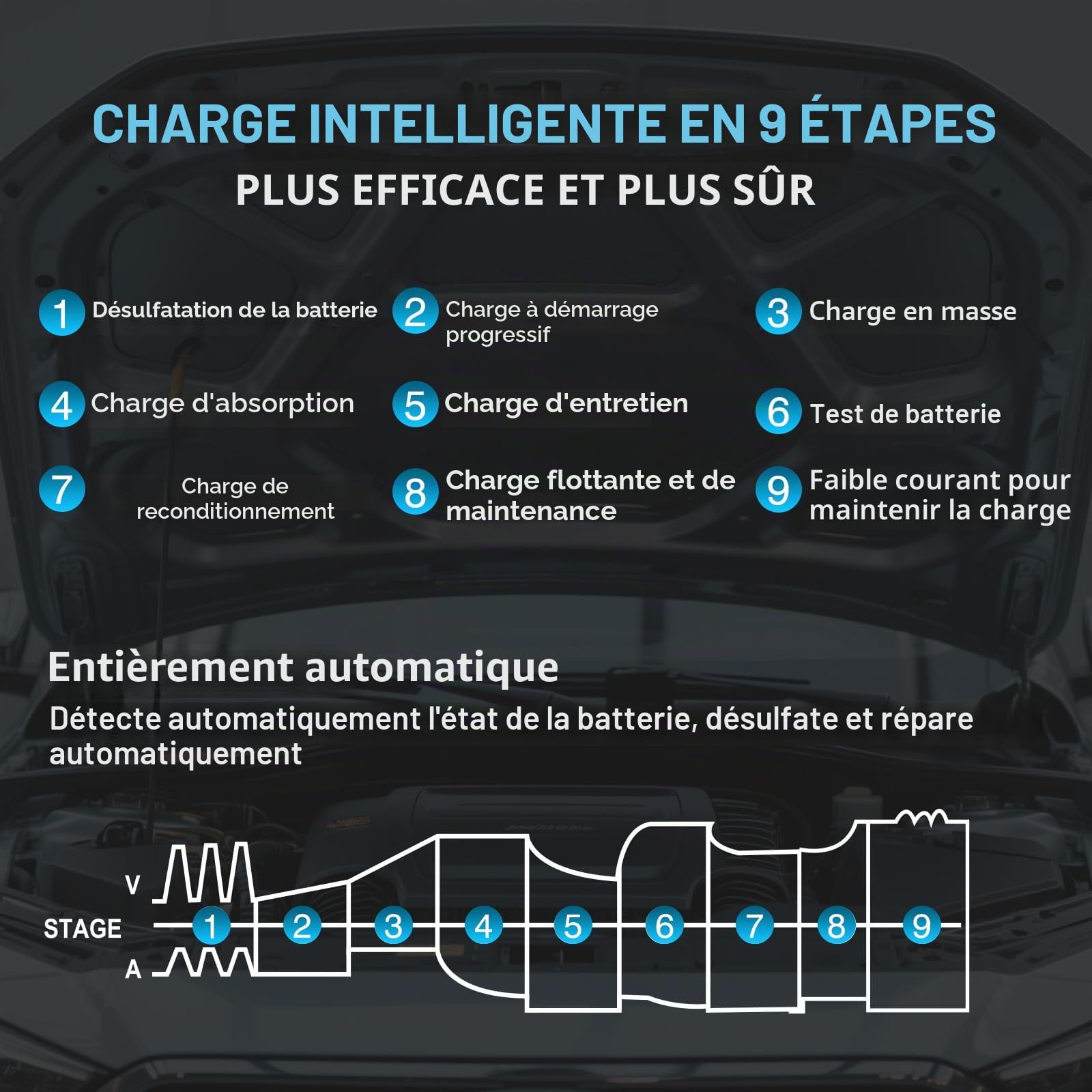 Haisito Chargeur de batterie de voiture 45 A 6 V/12 V/24 V avec écran LCD, entretien de la batterie, charge de maintien et désulfatation pour AGM, lithium, LiFePO4, plomb-acide (moto, camping-car