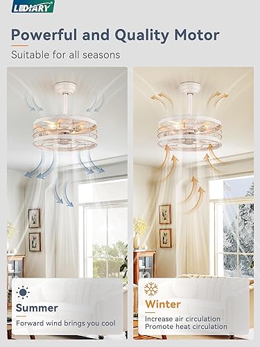 Miniatura 30 de LEDIARY Ventilador de techo enjaulado Fandelier de 20 pulgadas con luz, ventilador de techo sin aspas con control remoto, pequeñas luces de Negro y