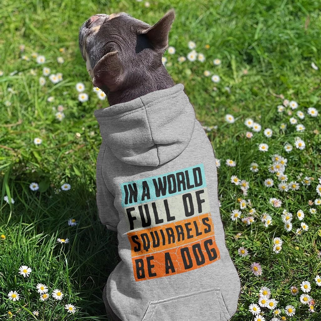 in a World Full of Squirrels Be a Dog Print Dog Hoodie with Pocket - Items for Pets - Gifts for Dogs - Gray, S