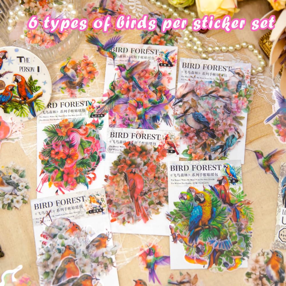 Garden Bird Stickers For Children, Kids, Toddlers, Adults - Scrapbook Craft Decorating Activities And Party Bag Filler Favours - Fun Cool Cute Sticker Pack For Boys Girls