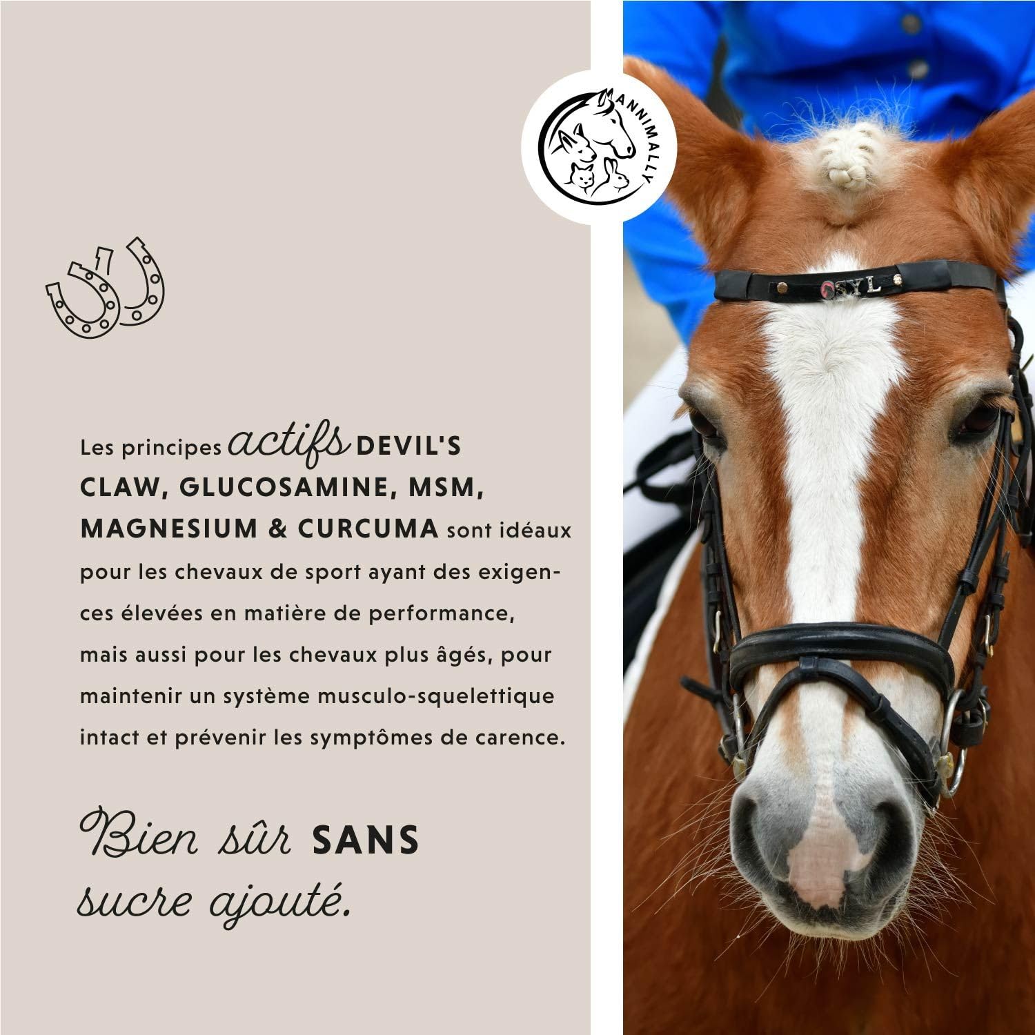 Annimally Liquide pour Articulation Cheval 1000 ML avec Griffe du Diable, Glucosamine et MSM – Renforcement Articulaire