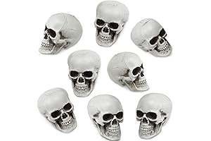 Hauntingly Realistic Mini Skulls: A Halloween Essential