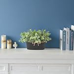 Dahey Artificial Eucalyptus Faux Plants Indoor for Farmhouse Home Decor Fake Potted Plants in Rustic Rectangular Pots Table Centerpiece for Bathroom Laundry Living Room Greenery Decor, Black