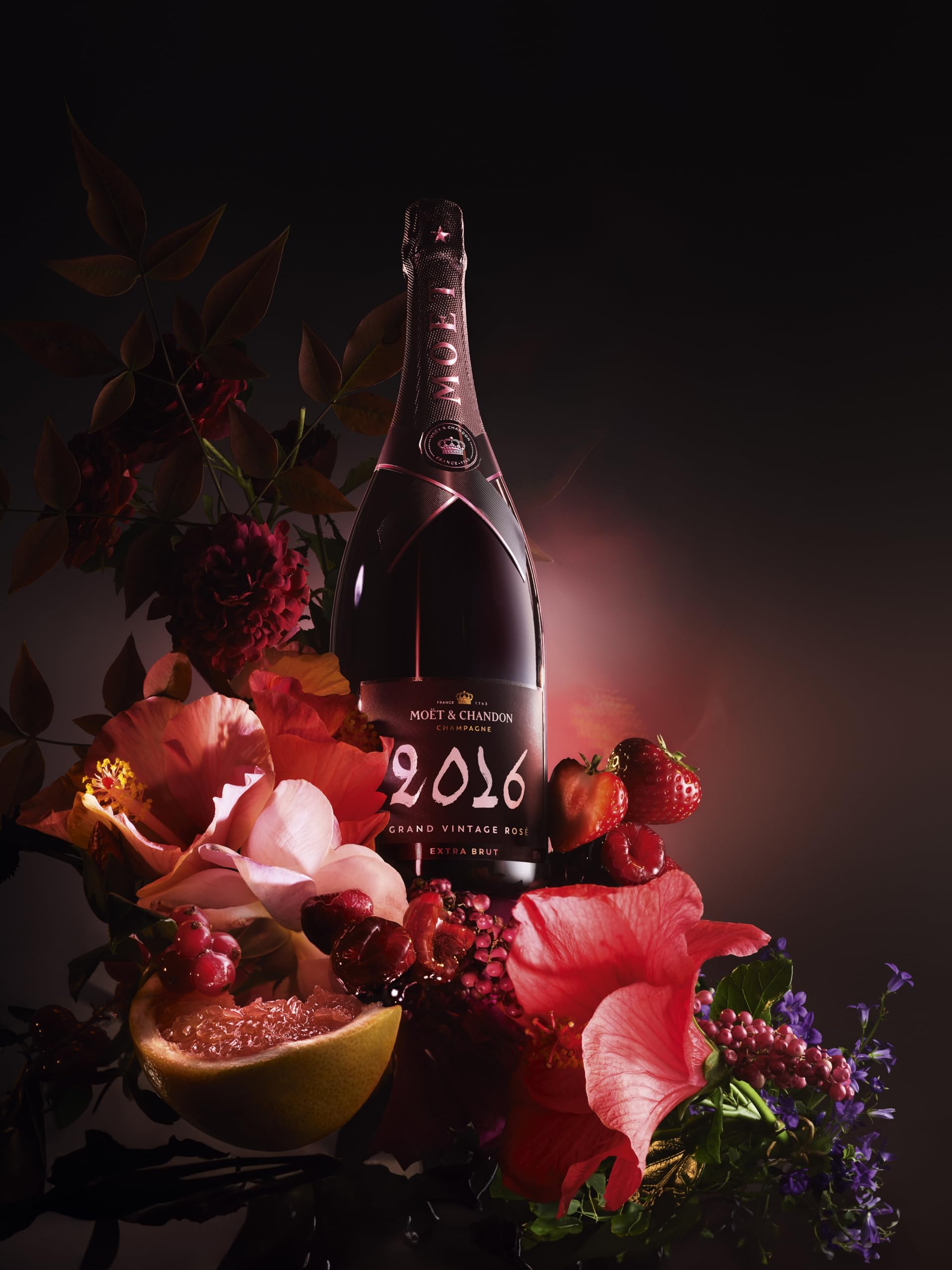 Moet & Chandon Grand Vintage Rose 2016 in Geschenkverpackung, 0,75 Liter, 12,5% Vol.