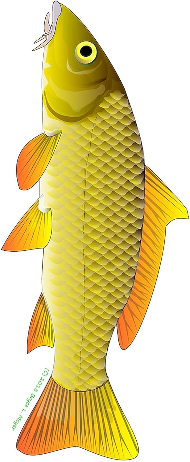 CafePress Common Carp 30"x60" Absorbent Cotton Back, Soft Beach, Pool Towel
