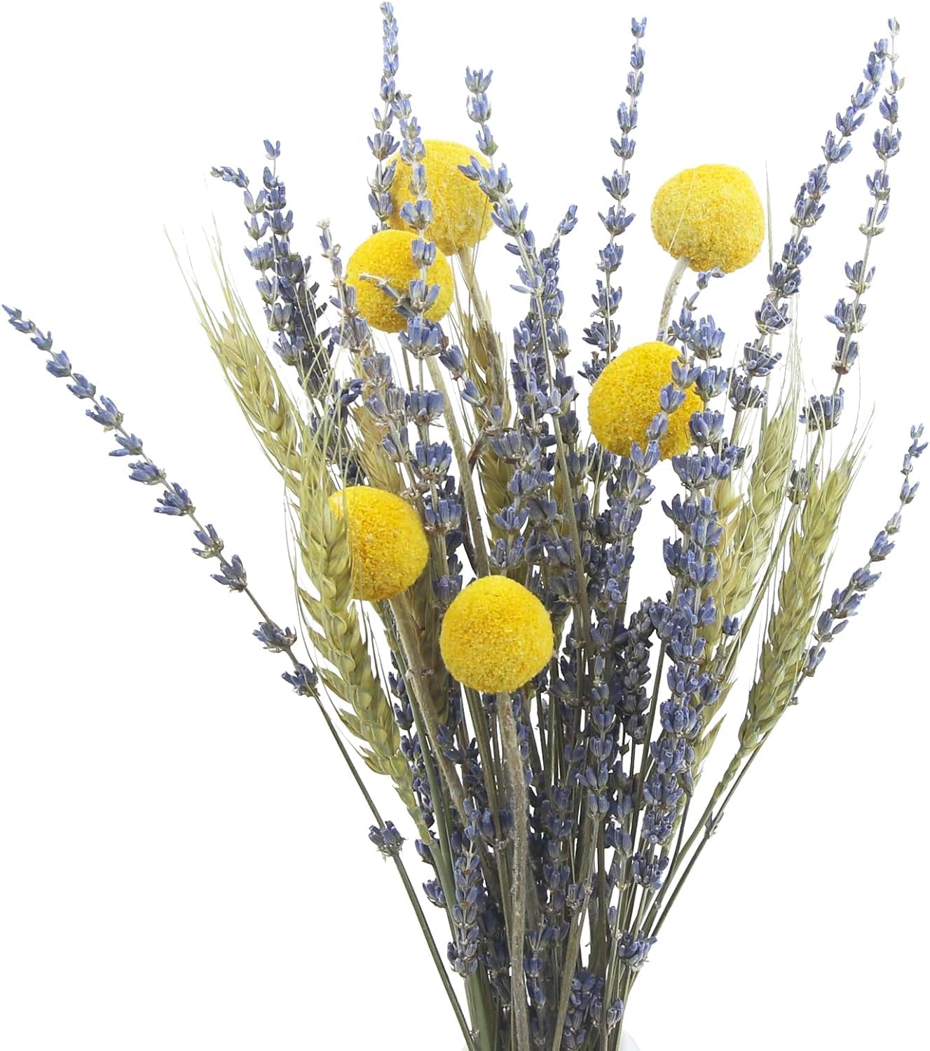 Bouquet Fleurs Séchées Blanches Naturelles - Longueur 40cm - Décoration Mariage, Maison, événement - Environ 10 Tiges