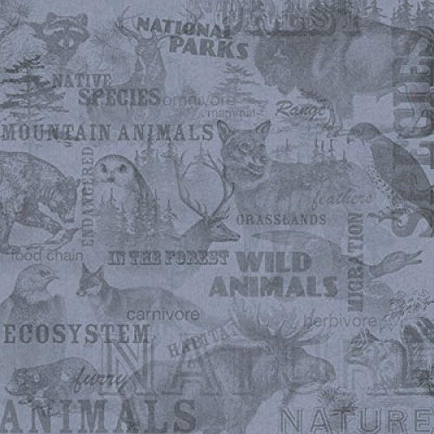 KAREN FOSTER 12 x 12-Inch Scrapbook Paper, 25 Sheets, Wild Life Collage
