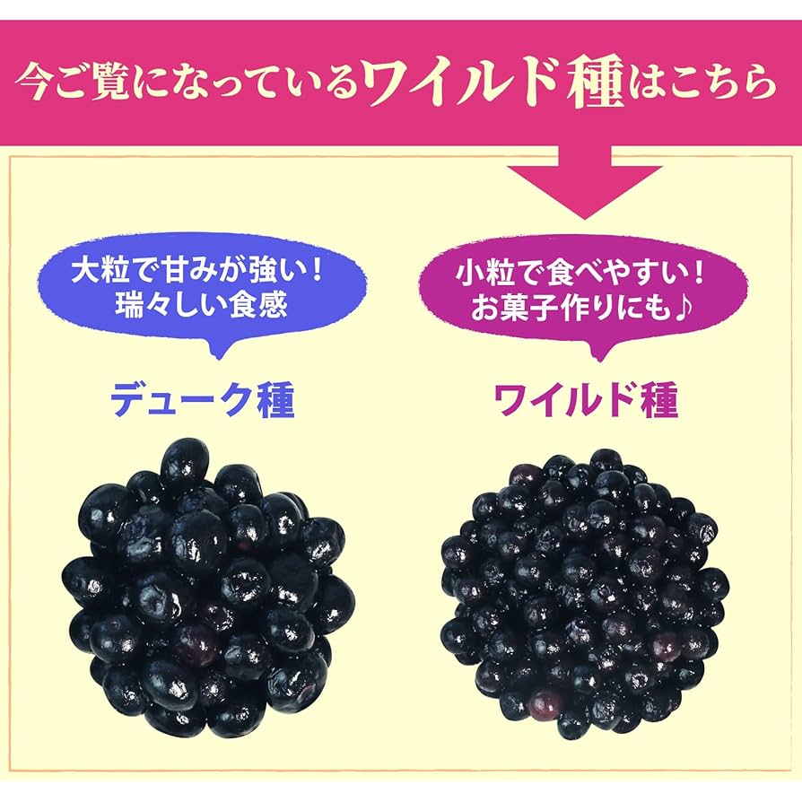 Amazon | オーガニック 冷凍 ワイルド ブルーベリー 4kg（200g