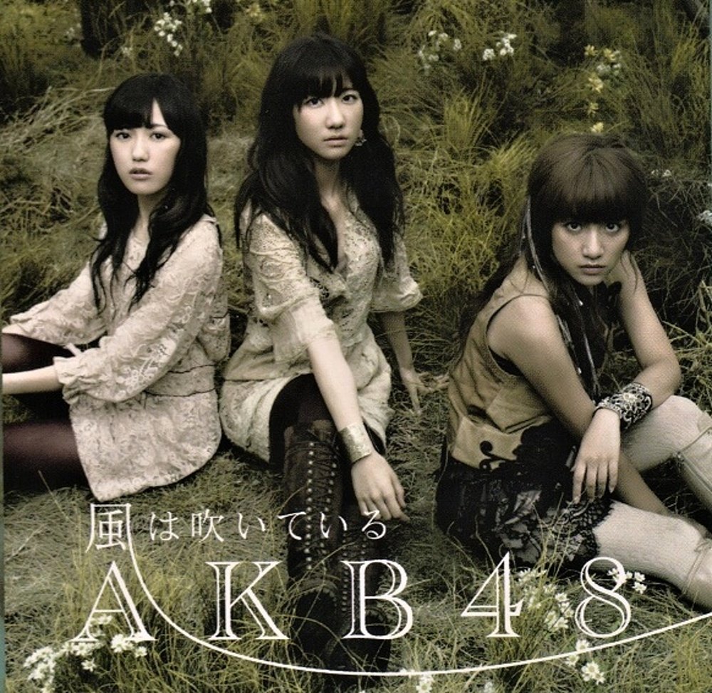 Amazon.co.jp: AKB48[風は吹いている] ミニフォトアルバム PHOTO ALBUM