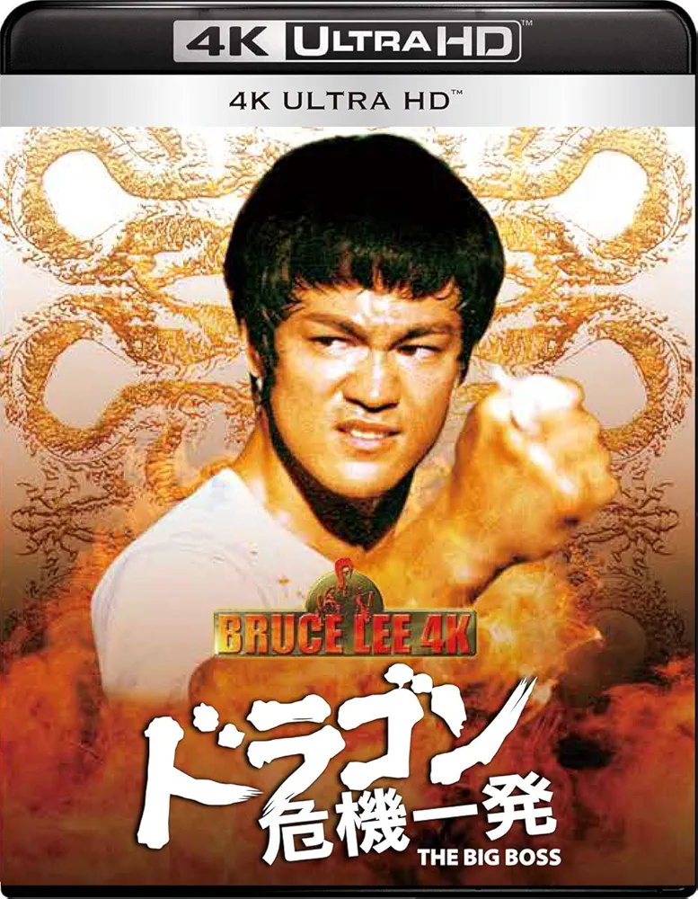 ブルース・リー 80周年記念 Boeing 747-400 ブルース・リー 80周年記念 Boeing 747-400 ブルース・リー 80