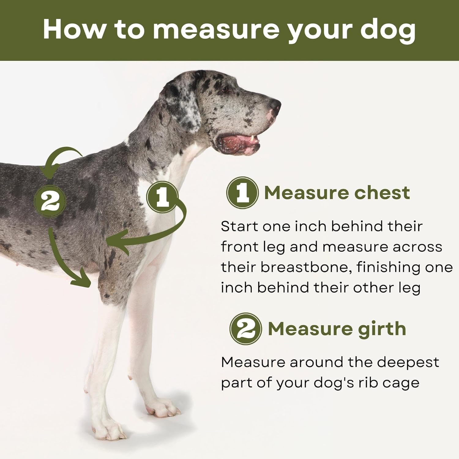 Premium No-Pull Dog Harness with Leash | Adjustable, Comfortable, and Durable | Stop Pulling Instantly | Front-Leash Attachment for Easy Control Red (Medium)