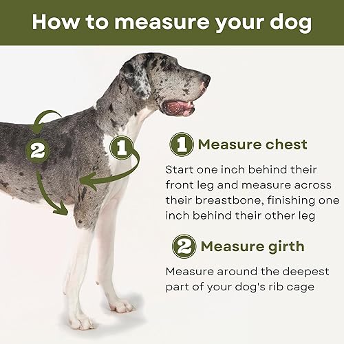 Miniatura 4 de Combo de arnés y correa para perro sin tirones  Camina en armonía con comodidad ajustable  Deja de jalar con facilidad  Accesorio de correa frontal