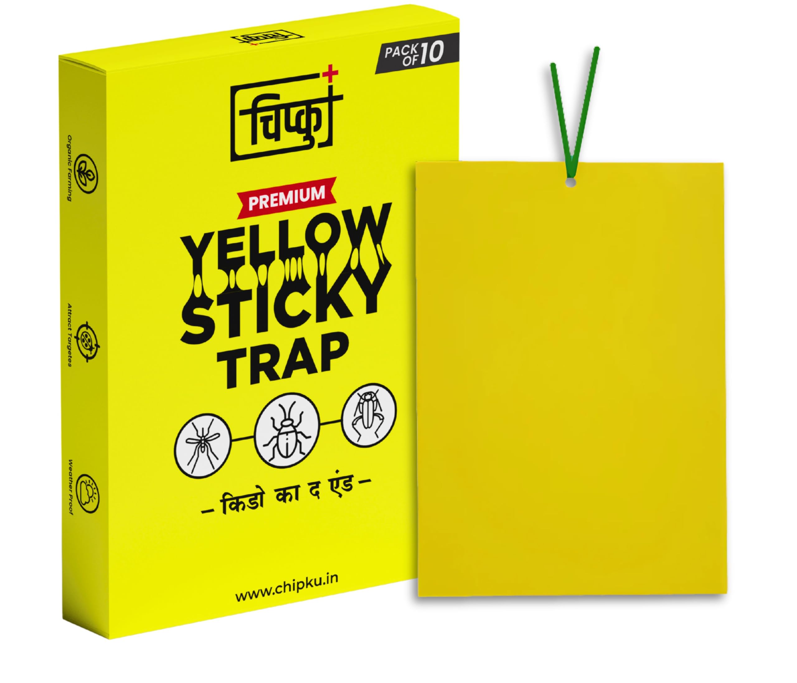 Chipku Yellow Sticky Traps – 10 Rectangle Traps | Eco-Friendly Insect Catchers for Gnats, Aphids & Whiteflies | Long-Lasting, Non-Toxic Plant Protection-image-19
