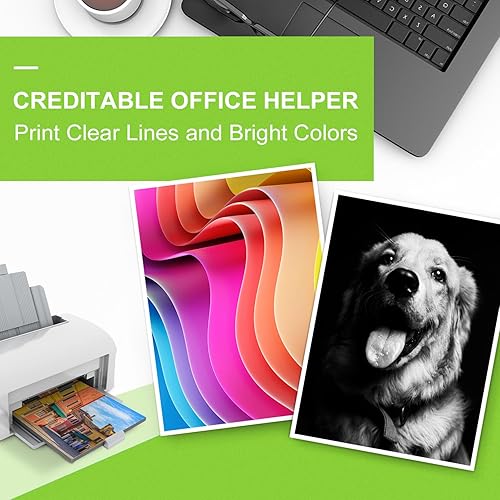 Miniatura 5 de OULADUN PG-243XL - Cartuchos de tinta negra de repuesto para Canon PG-243XL 243 243XL Value Ink para impresoras Pixma TR4520 TS3322 MG2922 MG2520