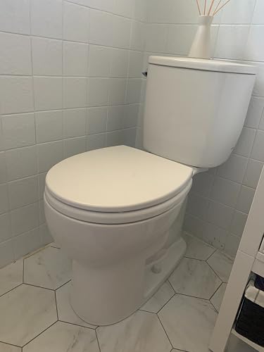 Review Image by Amazon Customer