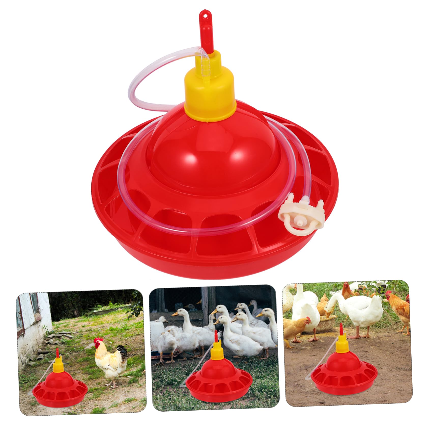 Abbeveratoio per Pollame in Plastica Pp Rosso Design Unico e Struttura Robusta, Distributore D'acqua Stabile per Polli e Pappagalli a Casa in Zoo