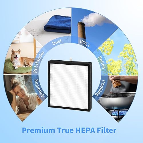 Miniatura 5 de GoKBNY Paquete de 2 filtros de repuesto True HEPA compatibles con el purificador Keylitos de gran tamaño, para ASIN B09M6XD9J7