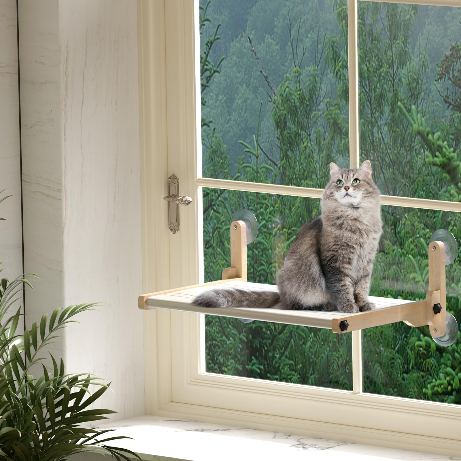 Foldable Cat Window Bed, Solidwood Cat Window Perch with Suction Cups, Heavy Duty Cordless Hammock Seat for Indoor Cats (Large Size) - image 7