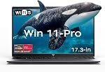 ACEMAGIC AX17PRO portable 17.3" FHD (1920x1080) Affichage.AMD Ryzen 3 4300U (jusqu'à 3,7 GHz). 16GB DDR4 RAM 512GB SSD (Double M.2 Fentes jusqu'à 4TB), Batterie de 62,7 Wh, Wi-Fi 5, Gagner 11 Pro-pour office & Sommaire