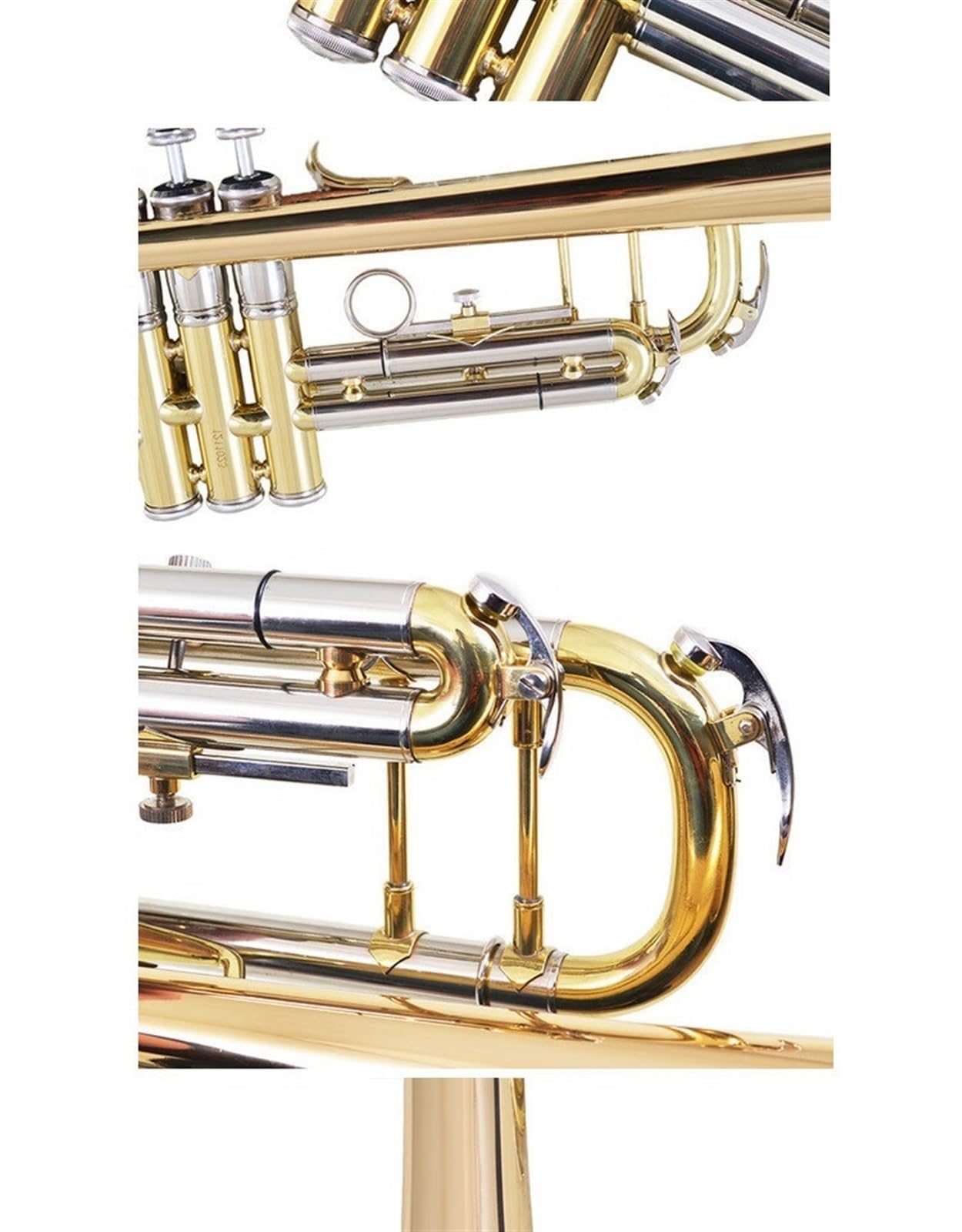 trompeta estándar Instrumento de trompeta Si bemol estudiante toca instrumentos de viento y metal para examen de grado