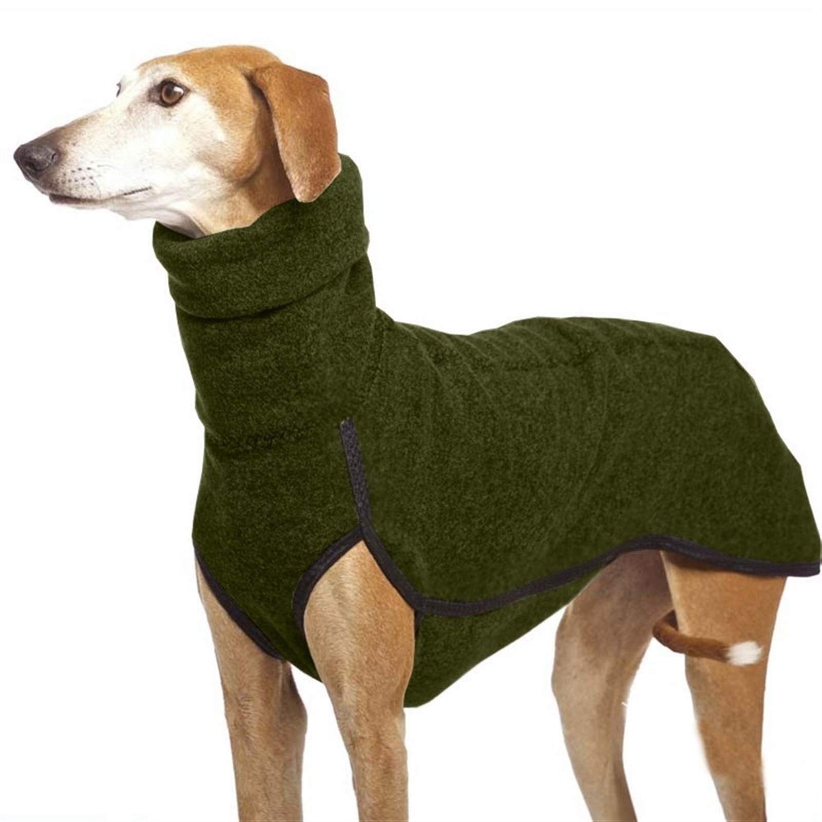 Manteau pour grand chien vert idéal pour les promenades hivernales matinales