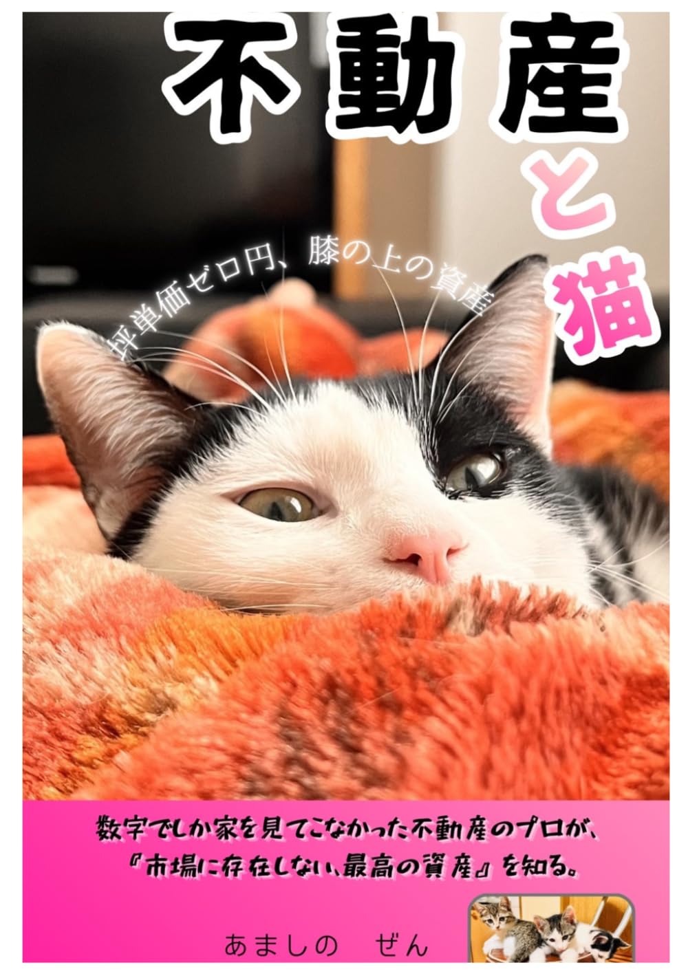 「不動産と猫」_坪単価ゼロ円の幸福論: 数字でしか家を見てこなかった不動産のプロが、「市場に存在しない、最高の資産」を知る。