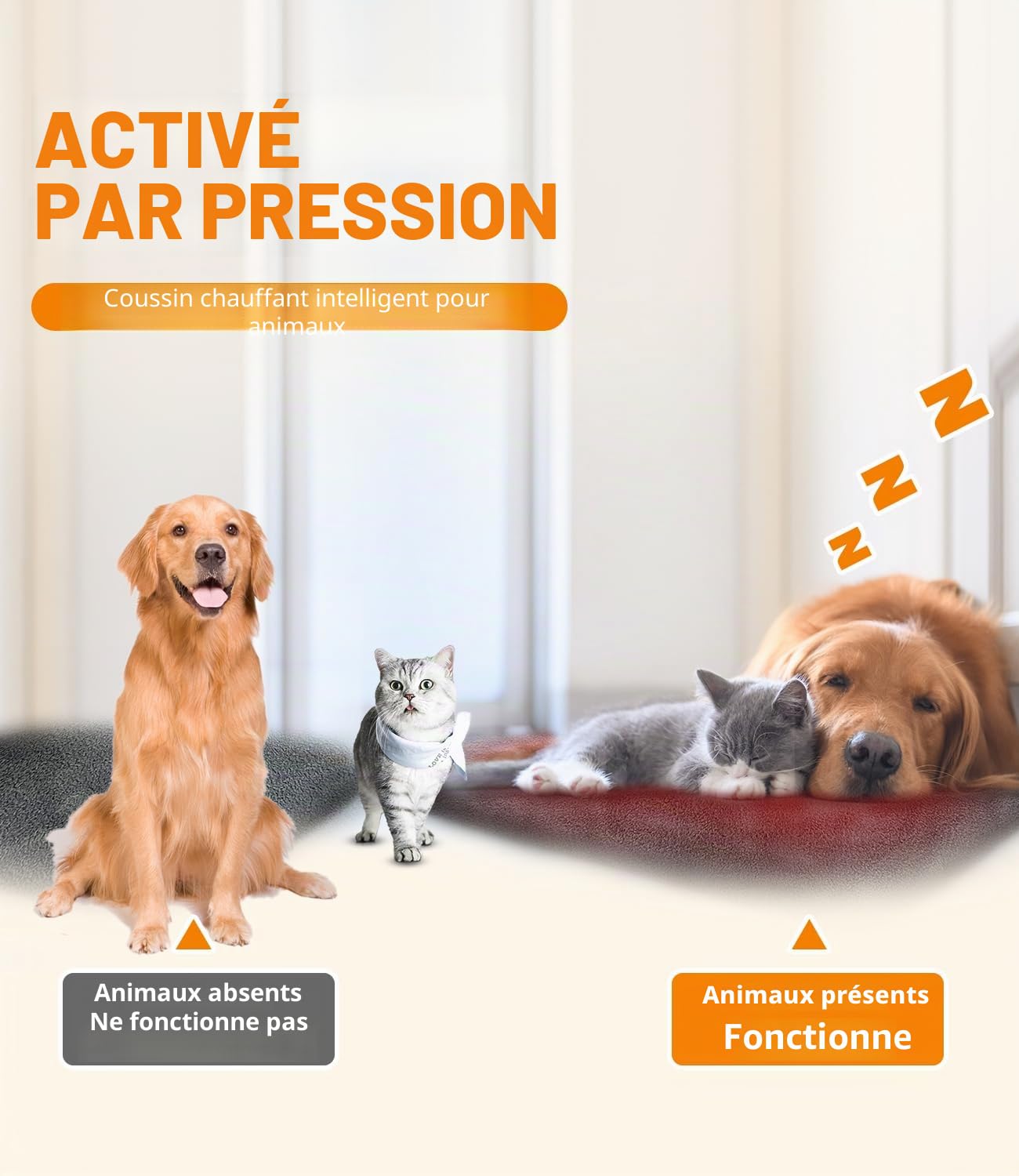 Tapis chauffant pour chien et chat activé par pression - Tapis chauffant électrique automatique pour animal domestique - Tapis chauffant avec cordon résistant à la mastication - Température réglable