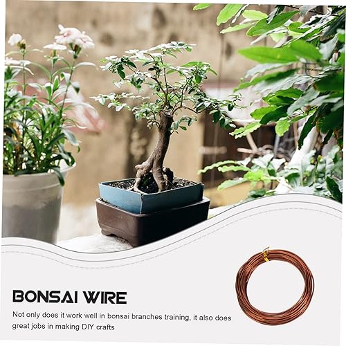 Miniatura 9 de Happyyami 25 Rolls Bonsai Tool Set Houseplants Greenery Plants Climbing Wires Green Plants Plant Wire Training DIY Tools Indoor Bonsai Tree Garden
