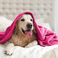 Vista 360 de BEDELITE Fleece Blanket White Throw Blanket for Couch & Bed, Luxury Plush Cozy Fuzzy Blanket 50" x 60", Super Soft Warm Lightweight Throw Blanket