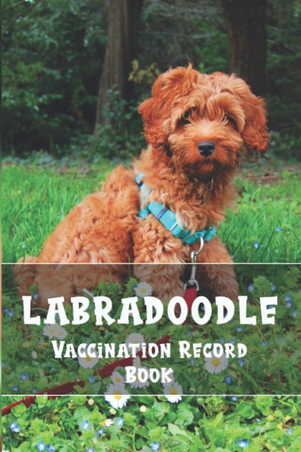 Labradoodle Vaccination Record Book: Health Record Book with Immunization Log, Shots Record Card, Weight, Medical Treatments, Labradoodle Daily Care ... More! Gift for Labradoodle Owners and Lovers.