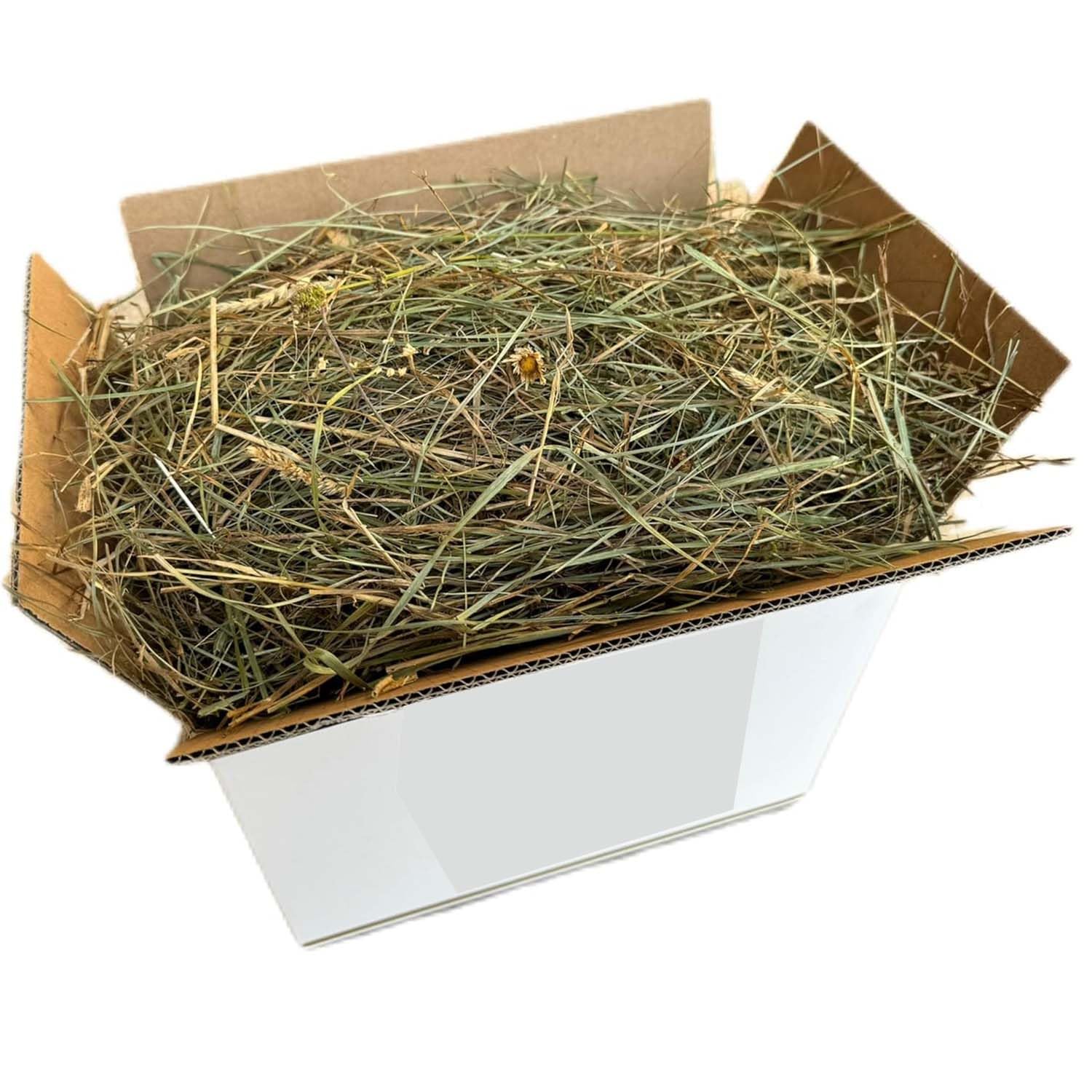 Fieno Naturale per Conigli 1 Kg | Balla di Fieno Italiano di Prato di Montagna Essiccato al Sole | Alimento per Porcellini d’India, Cincillà, Conigli Nani, Cavalli, Polli e Roditori