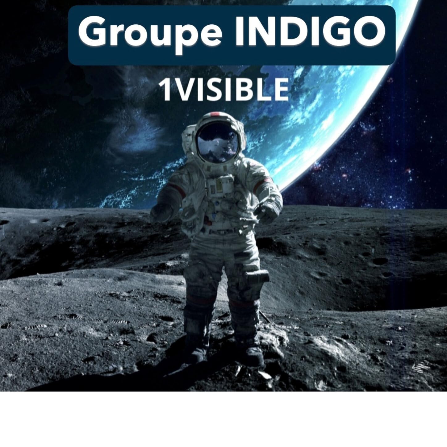 GROUPE INDIGO