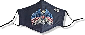 God Bless America Printed Mask