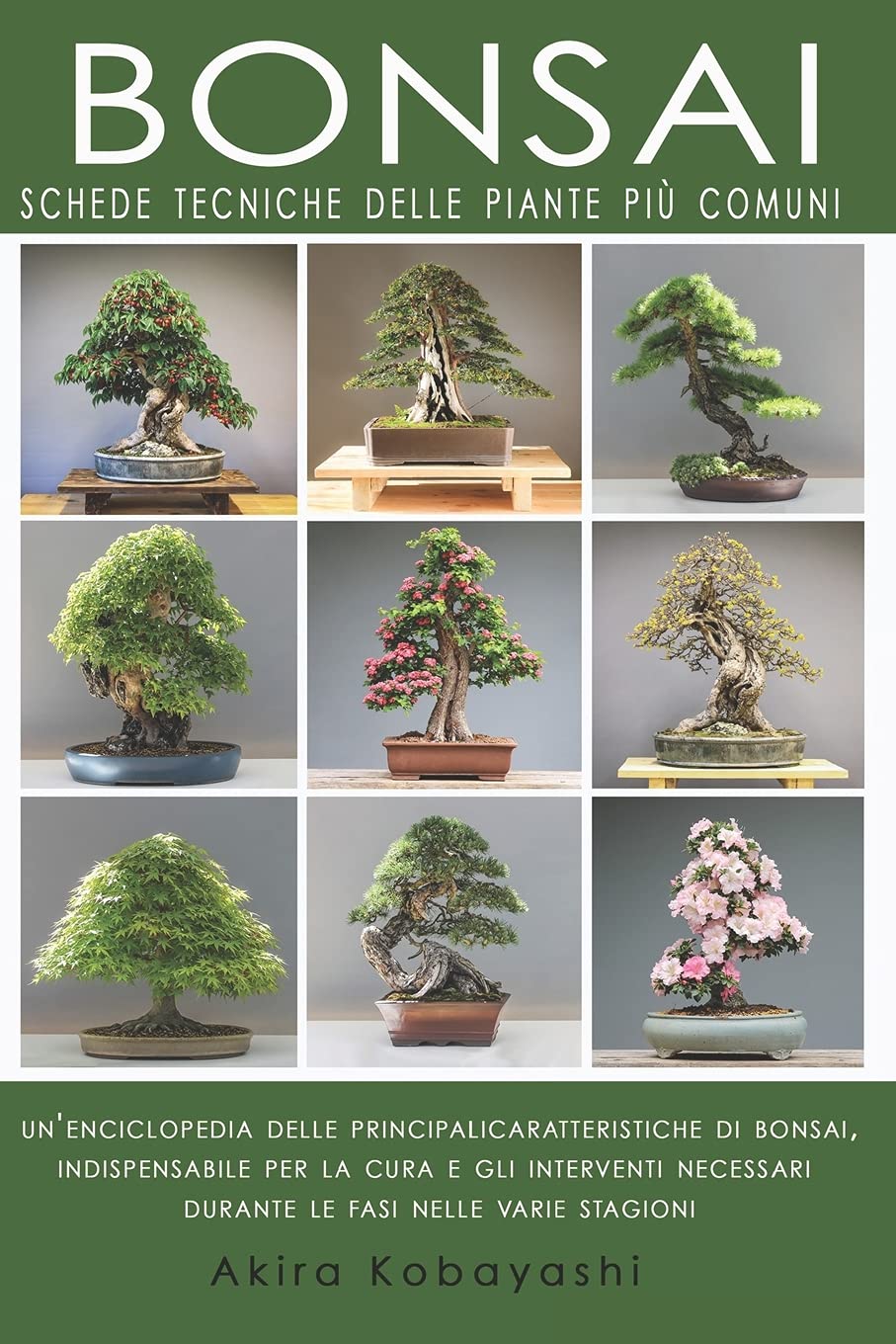 Buy BONSAI Schede Tecniche delle Piante Più Comuni Un'Enciclopedia Delle Principali