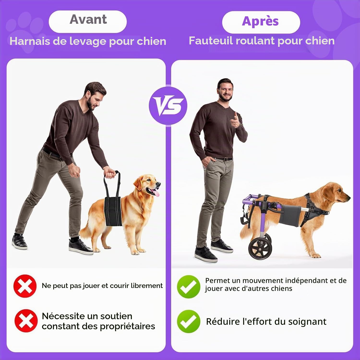 Fauteuil roulant pour chien pour pattes arrière - Fauteuil roulant pour chien